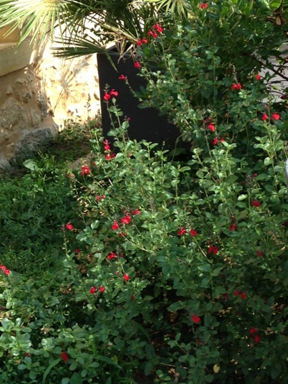 Bed and Breakfast Les Camelias Lalinde Exterior foto